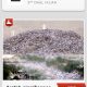 Hajjnet launches smartphone app for Hajj pilgrims