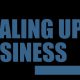 How to scale up the business successfully