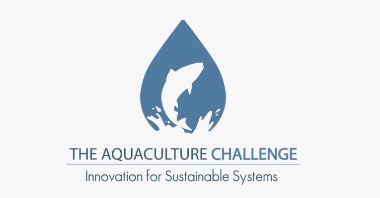 Eight startups selected for Global Aquaculture Challenge