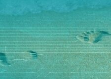 How to minimize your digital footprint on the internet