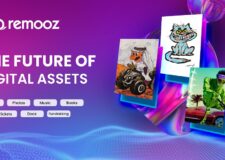 Remooz positions itself as the blockchain services provider for the mainstream users