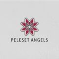 New angel investor network, Peleset Angels backs Palestinian startups