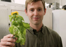 Anu receives grant to mass manufacture its aeroponic seed pods