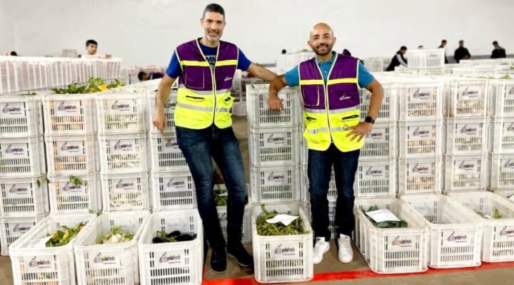 Moroccan agritech startup YoLa Fresh secures $7 million in pre-Series A