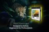 Silicon Power unveils new high-performance memory card for professional photographers, filmmakers, and content creators